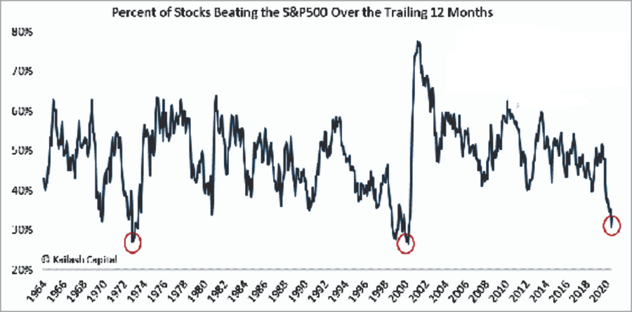 Market Review, Market Review: Bull Mania & The Charge Of The Light Brigade