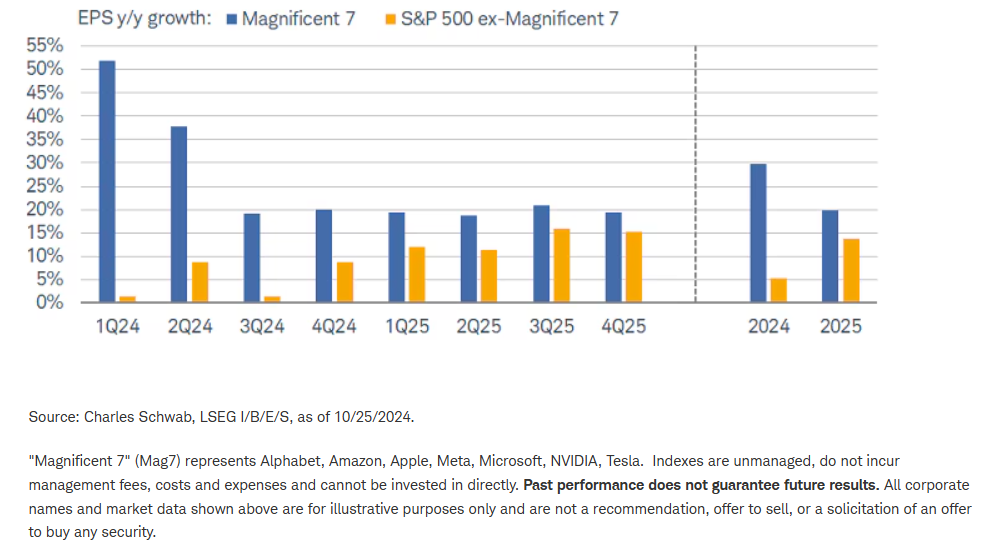 Mag7 vs. "other"