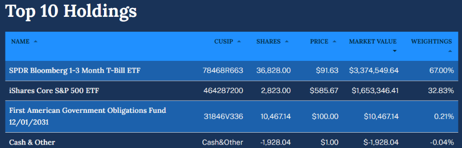 Top 10 Holdings