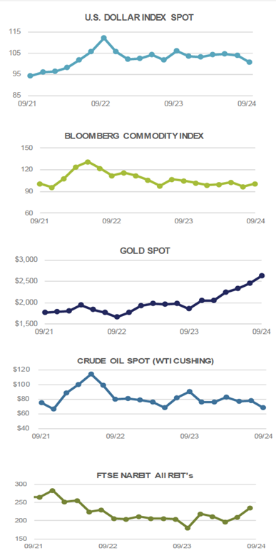 US Dollar Index Spot