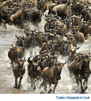 Traders Stampede to Cash