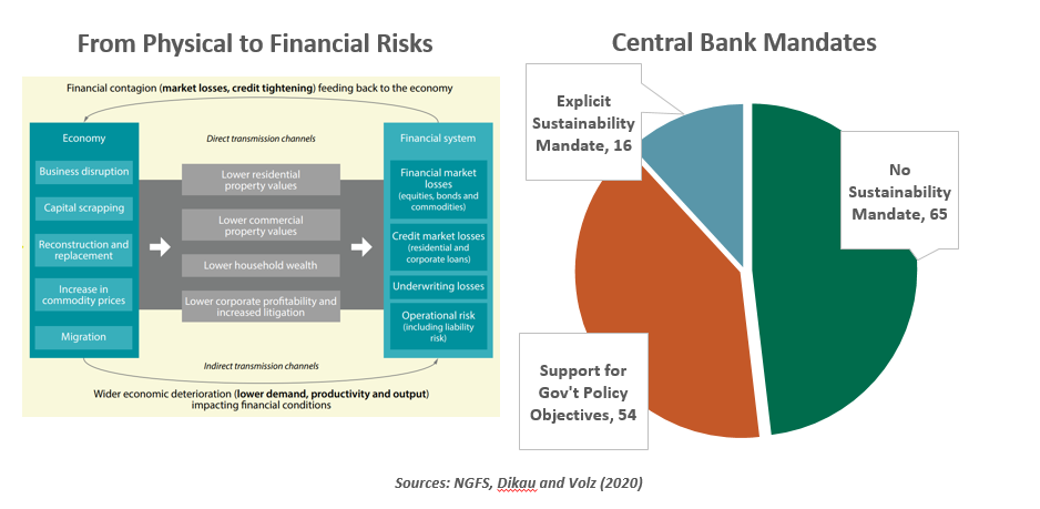 From physical to financial risks chart