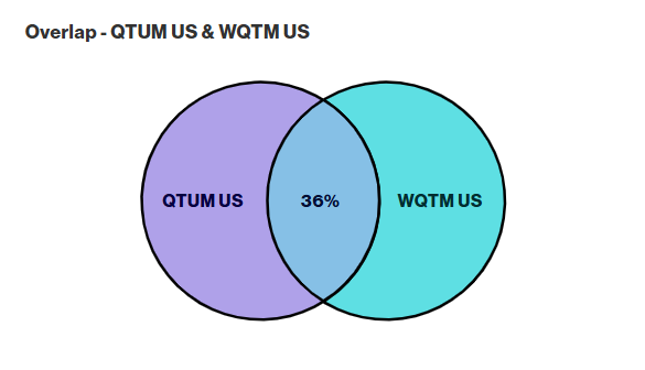 QTUM-WQTM holdings