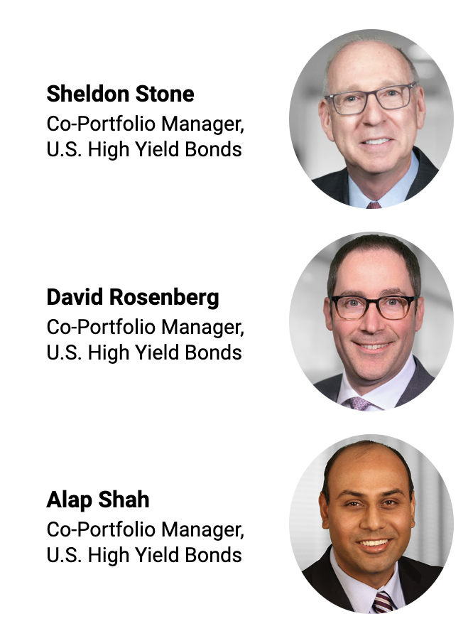 Sheldon Stone, David Rosenberg, Alap Shah