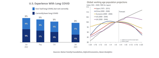 U.S Experience With Long Covid