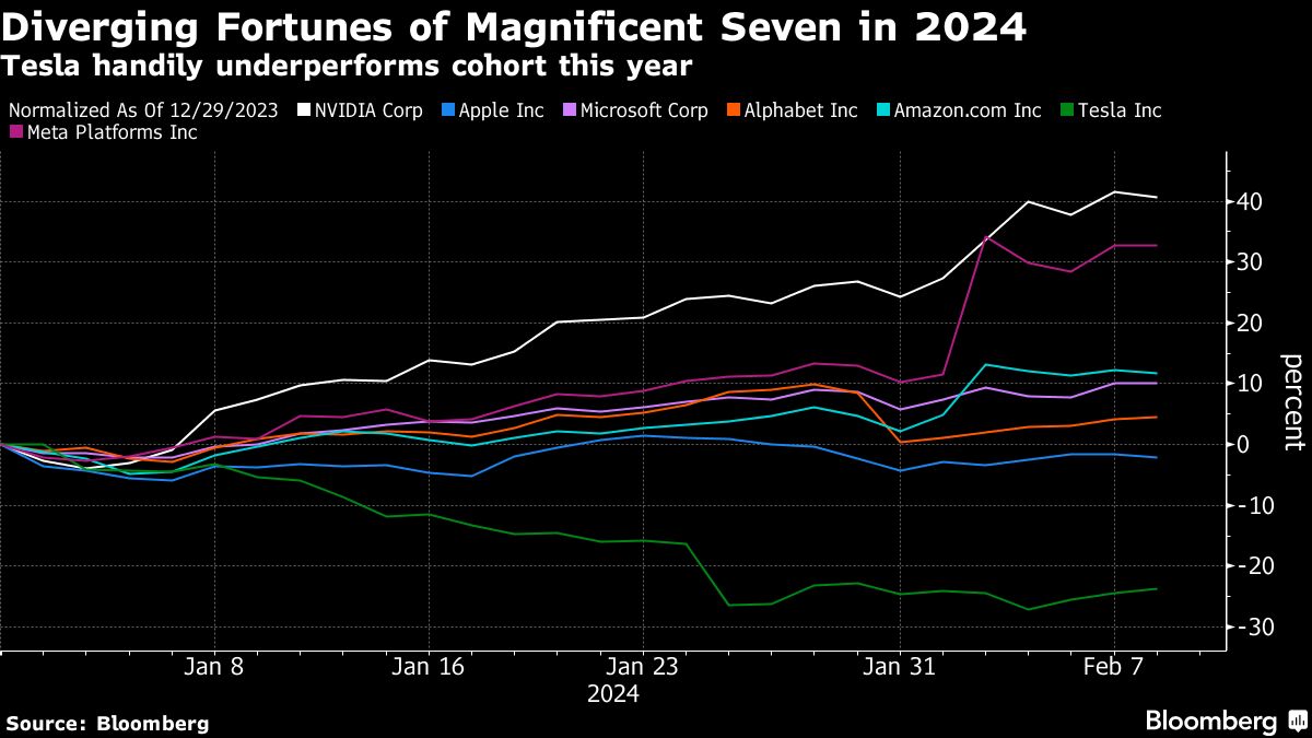 Diverging Fortunes of Magnificent Seven in 2024