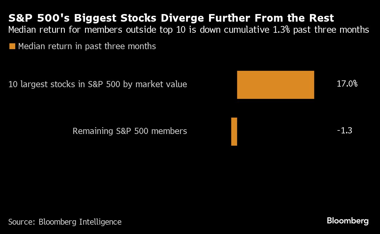 S&P 500 biggest stocks