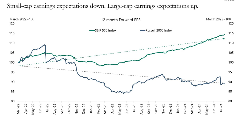 small cap earnings