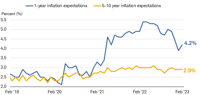 Chart shows the 1-year inflation expectations and the 5-10 year inflation expectations from the University of Michigan's monthly consumer survey.