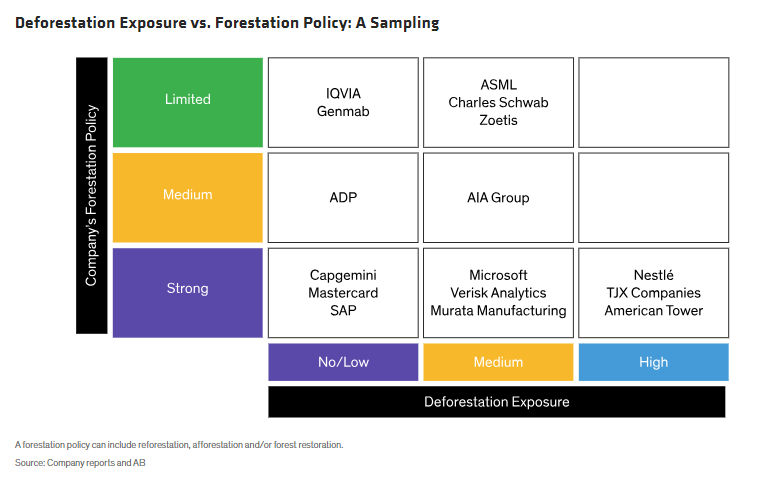 Deforestation Exposure vs. Forestation Policy A Sampling