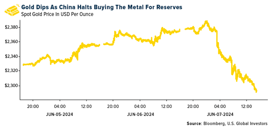 gold dips