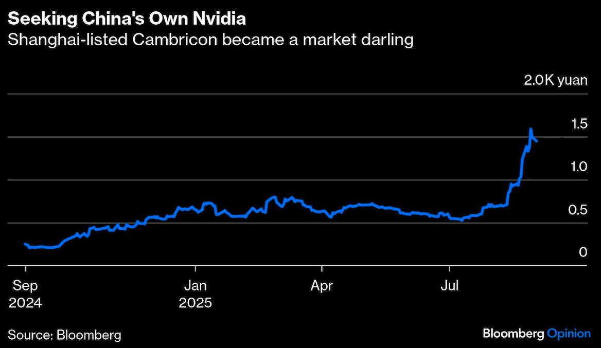 seeking china's own nvidia